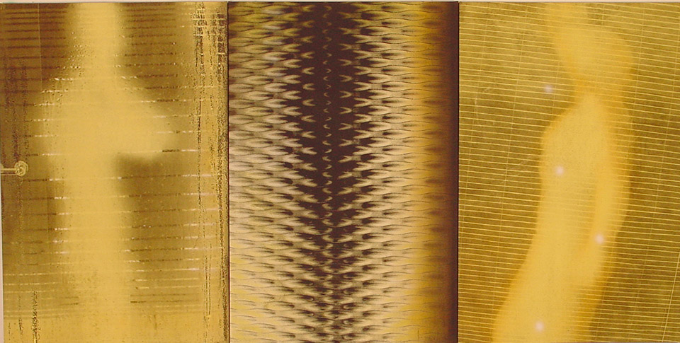 Robert BoynesHoney2004synthetic polymer paint on canvasGeelong GalleryGift of the artist through the Australian Government's Cultural Gifts Program, 2020&copy; Courtesy of the artist