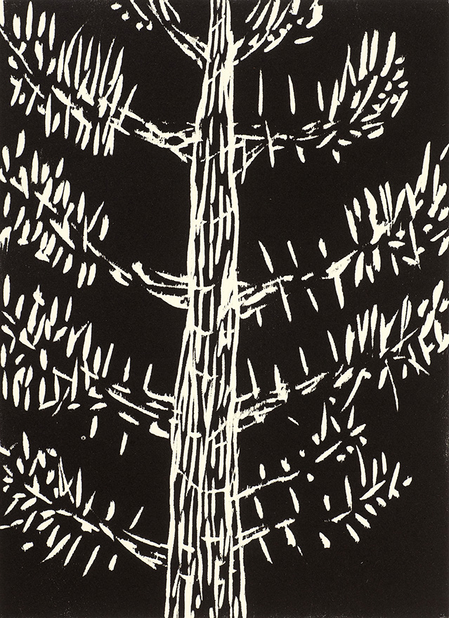 Stephanie RadokAraucaria 2023woodcut on Arches paper; edition 1/3Courtesy of the artist© the artist